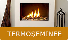 Termoseminee